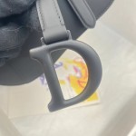 Dior saddle scrub series